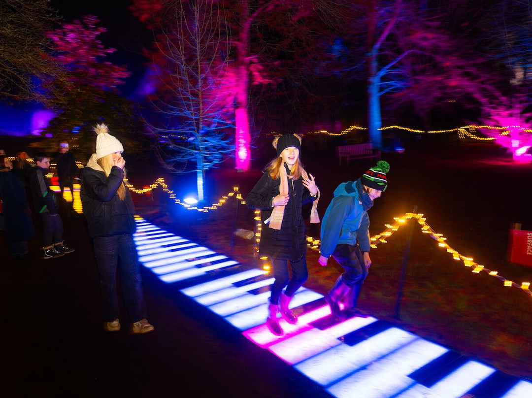 Light Up Trails