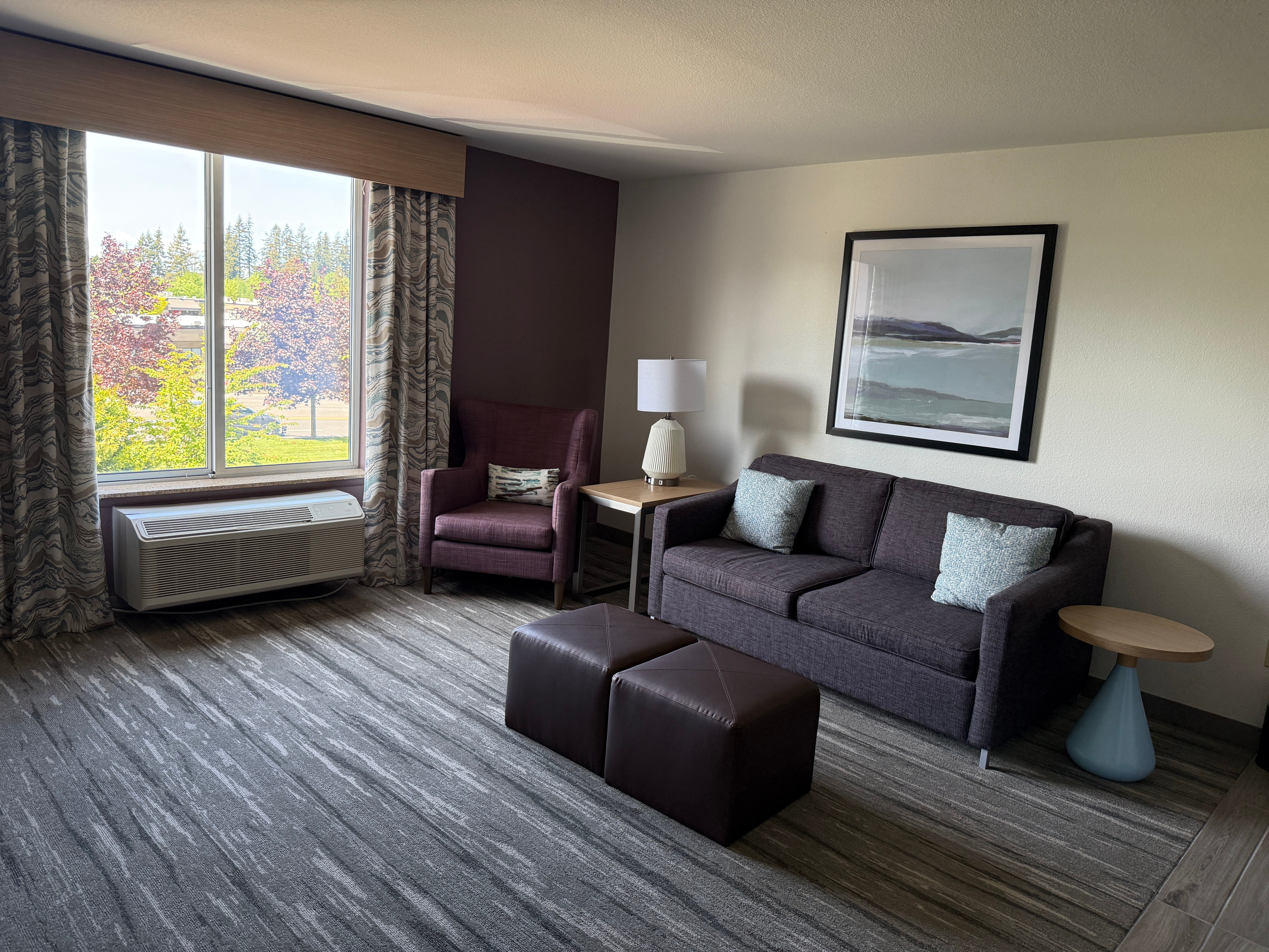 西雅图北部/埃弗雷特希尔顿花园酒店-客卧