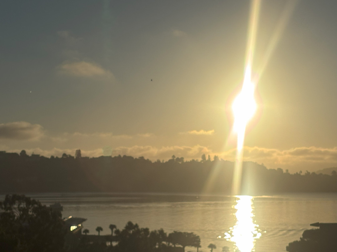 野草莓Spa酒店主图