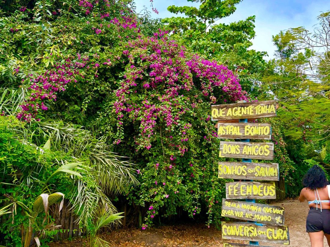 Guia Rafa - Porto Seguro Bahia-Porto Seguro必去景点
