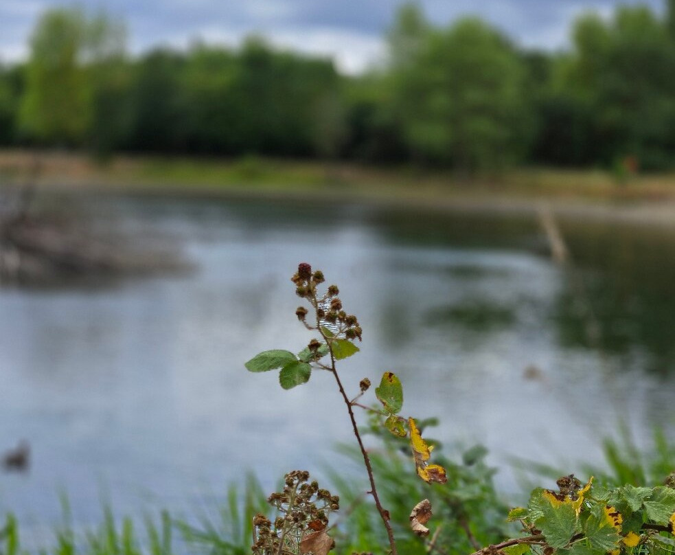 Barton Marina-Barton under Needwood必去景点