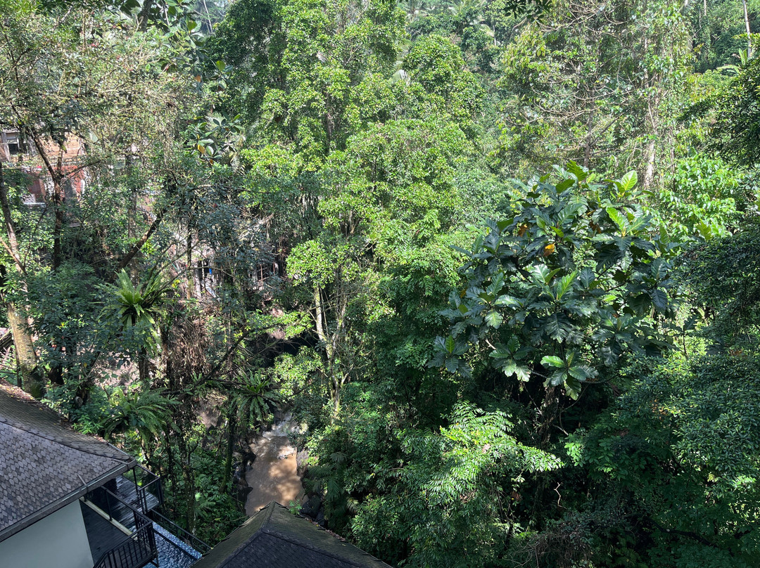 Andaru Spa-乌布必去景点