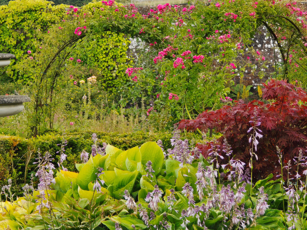 Langley Park Gardens-Montrose必去景点