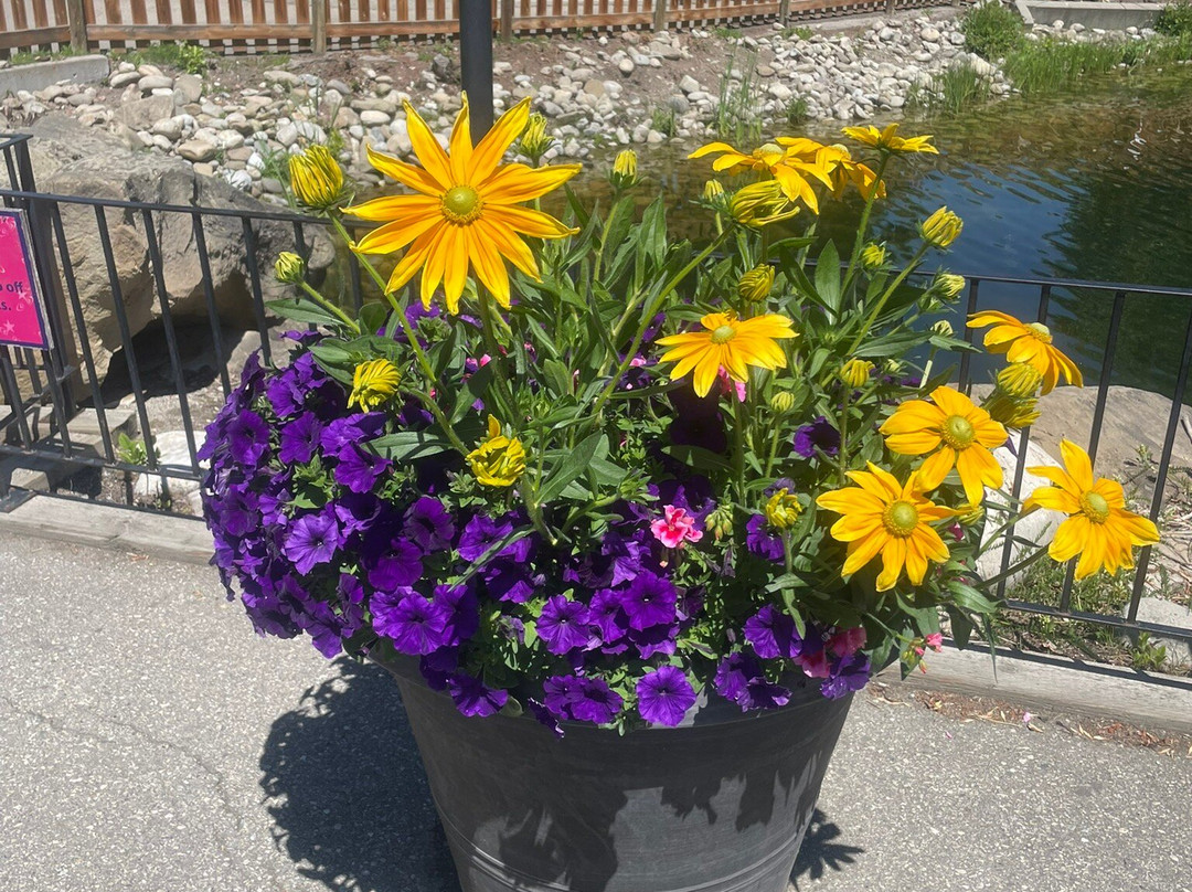 卡勒威游乐园-卡尔加里必去景点