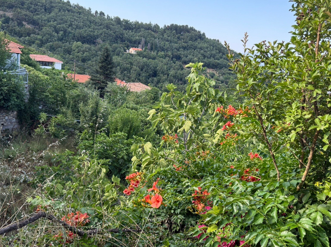 Guesthouse Archontiko主图