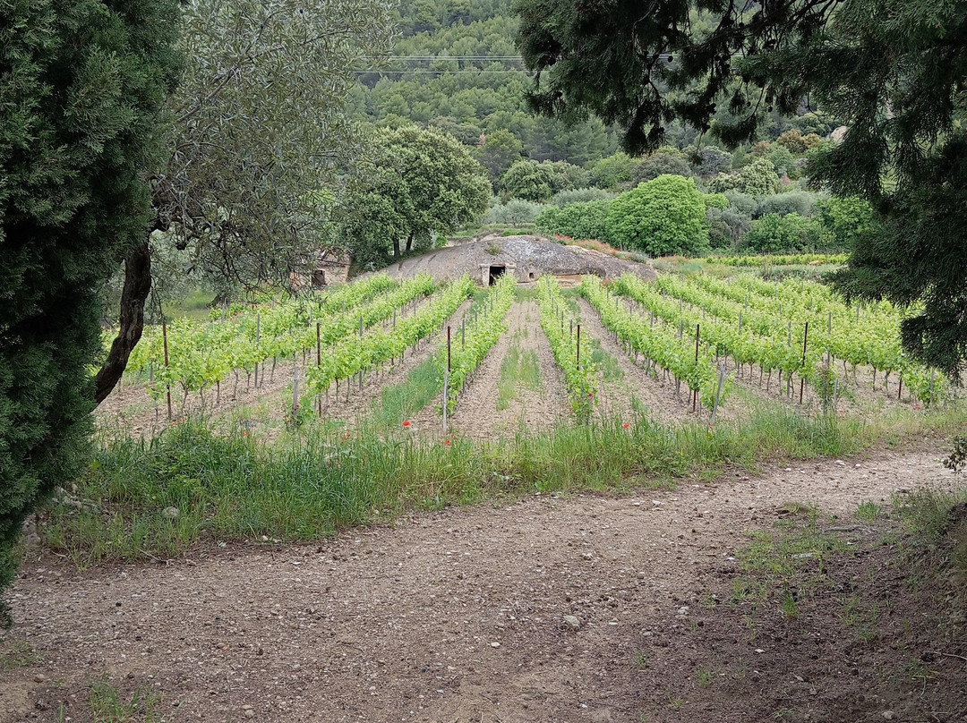 Les Promenades de Fleur-Aubignan必去景点