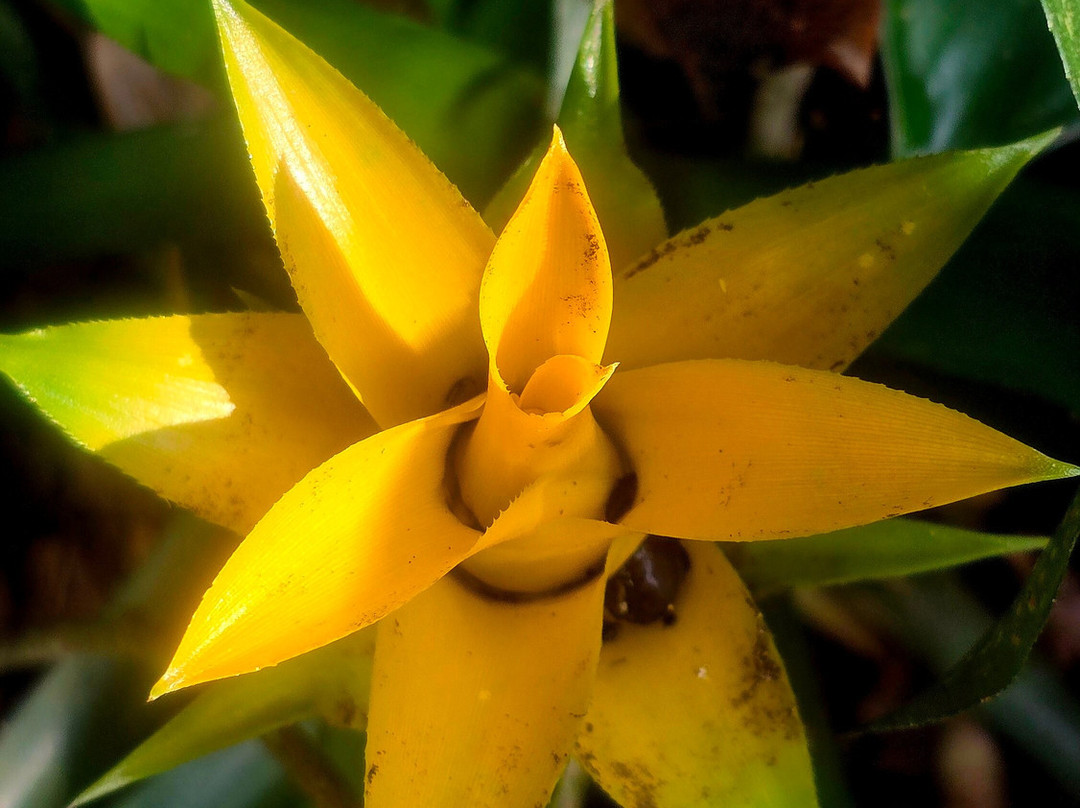 Sallet Tour-伊利亚贝拉必去景点