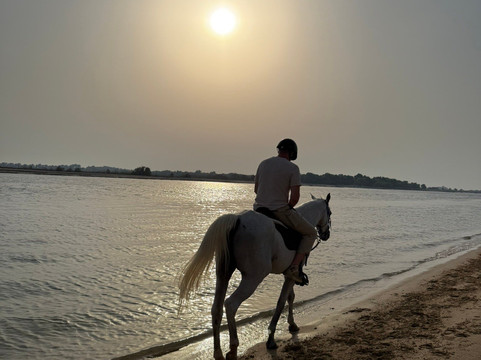 Sanam Stable-阿布扎比必去景点
