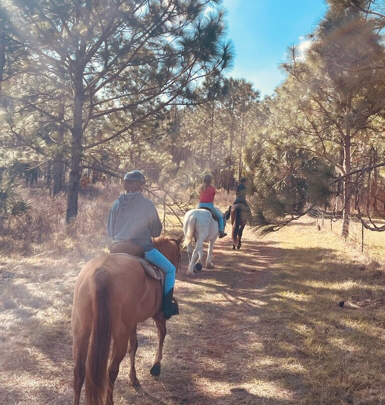 Rock Springs Guest Ranch-Sorrento必去景点
