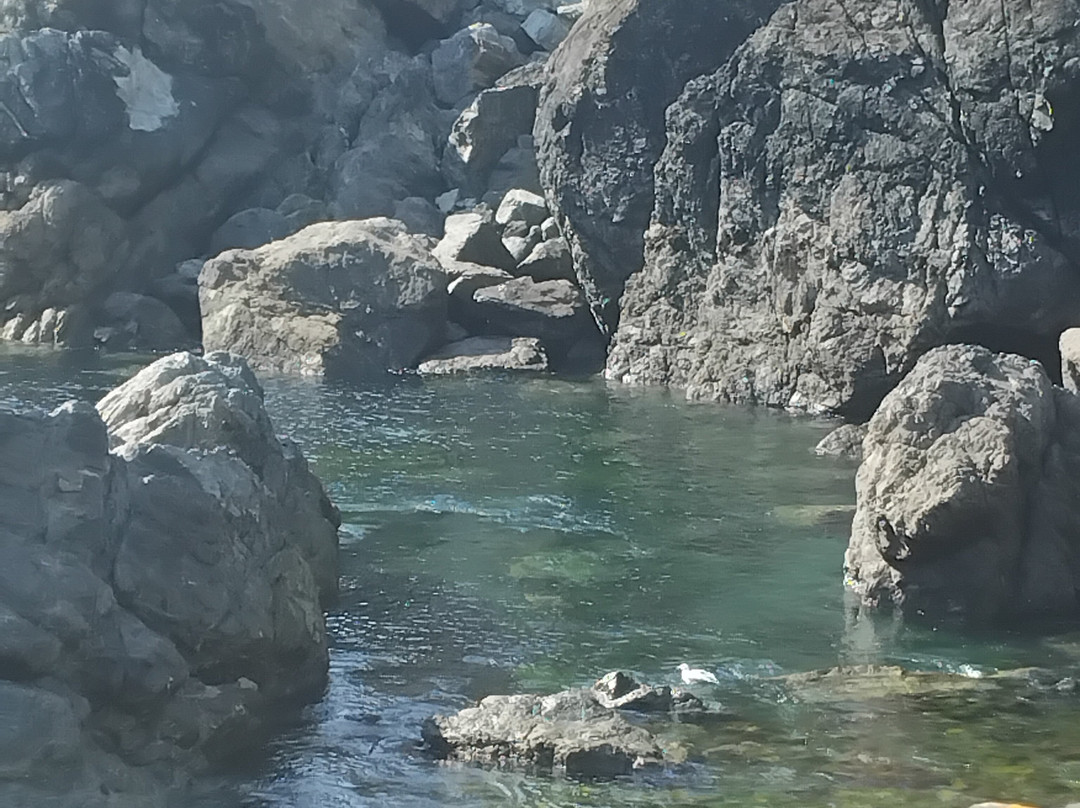 Mullion Cliffs National Nature Reserve-Mullion必去景点