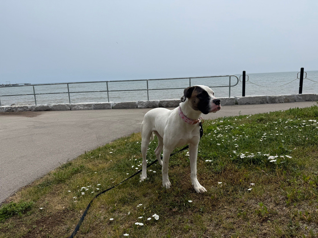 Burlington Waterfront Trail-伯灵顿必去景点