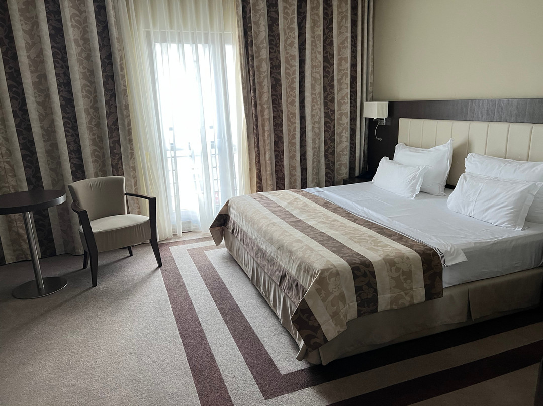 Pietroasa Hotel主图