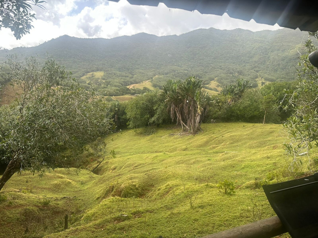 Domaine De La Grave-Vieux Grand Port必去景点