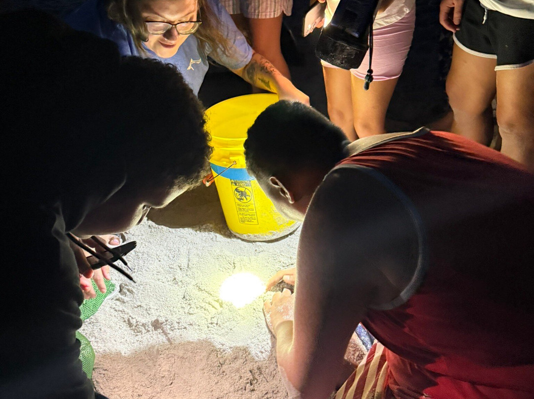 Topsail Aquarium-Surf City必去景点