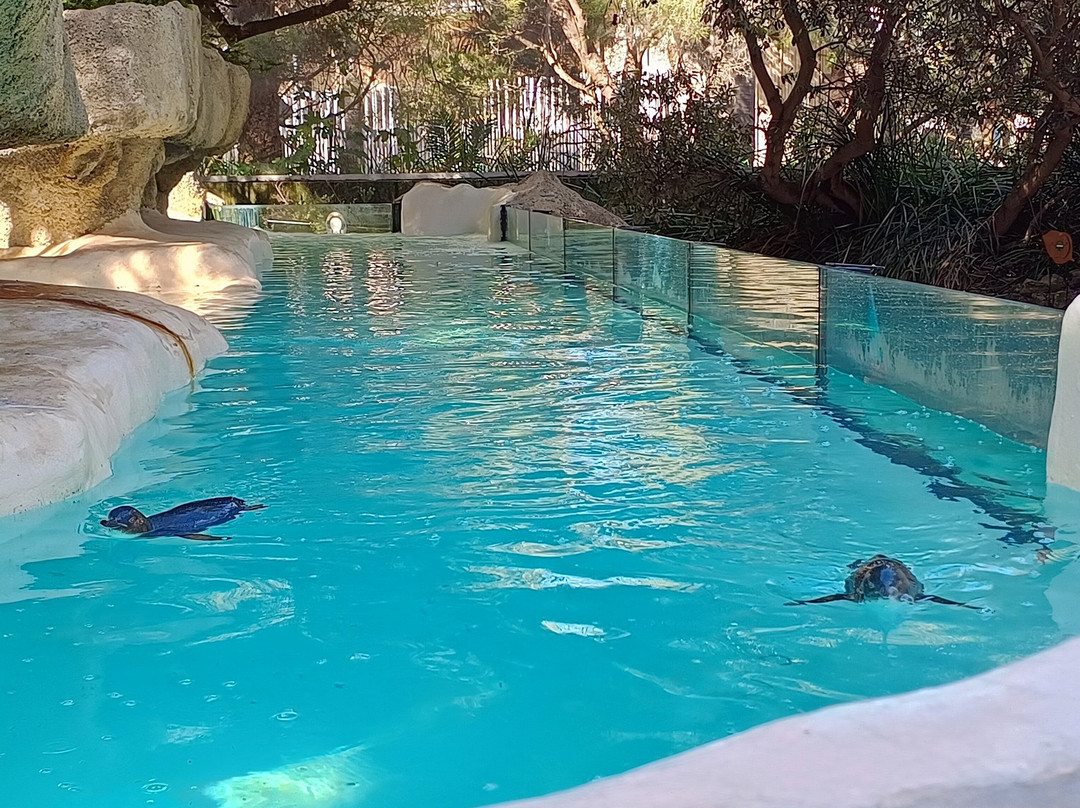 珀斯动物园-南珀斯必去景点