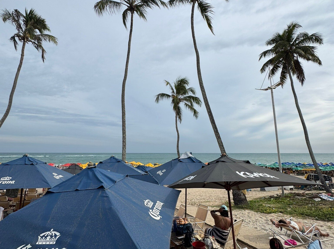 Praia do Francês-Praia do Frances必去景点