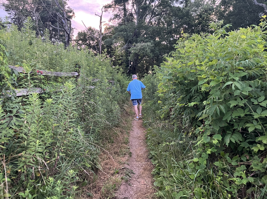 Cohutta Overlook-Ellijay必去景点
