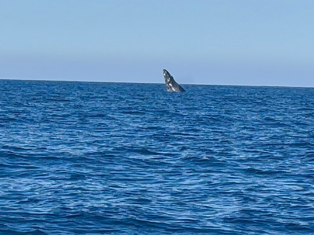 Maremar Turismo-伊利亚贝拉必去景点