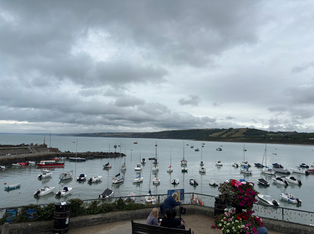 Cardigan Bay Marine Wildlife Centre