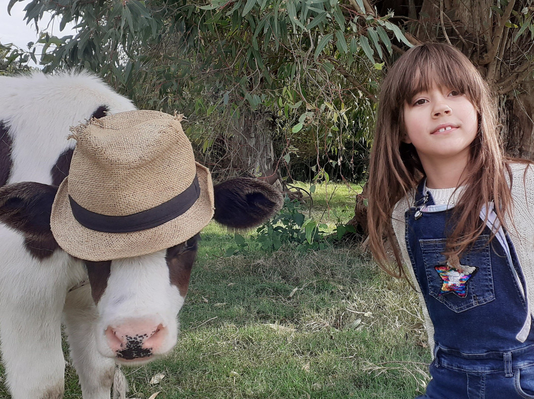Granja Jacaranda-Carmelo必去景点