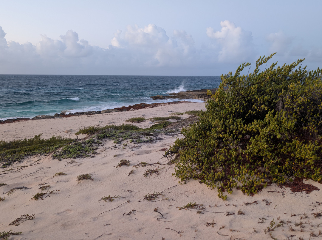 The Shipwreck Survey-圣尤斯泰希厄斯岛必去景点