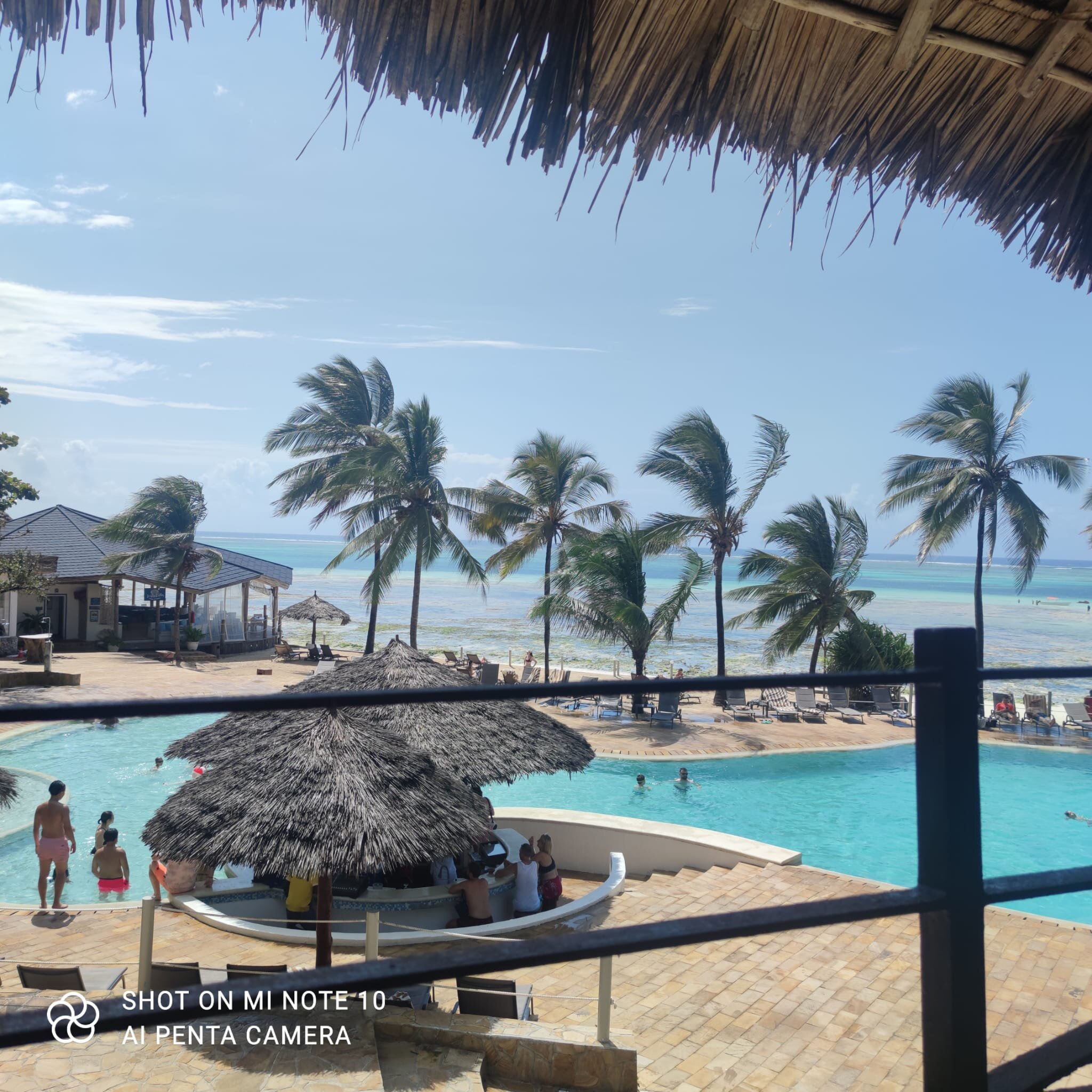 Karafuu Beach Resort And Spa-泳池