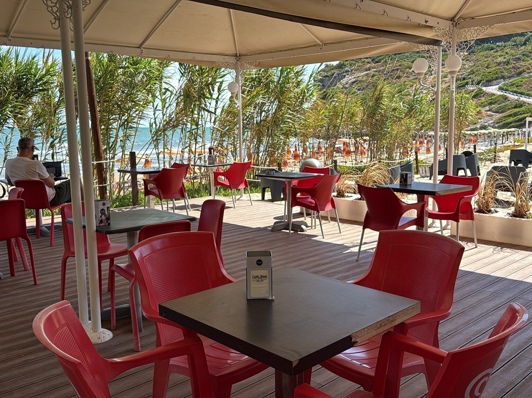 Spiaggia Di Procinisco - Peschici-佩斯基奇必去景点