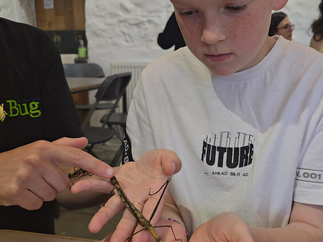 Dr Beynon's Bug Farm-St. Davids必去景点