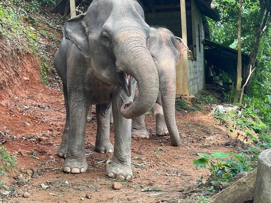 Eco Khao Lak Adventure - Private Day Tours-拉克山必去景点