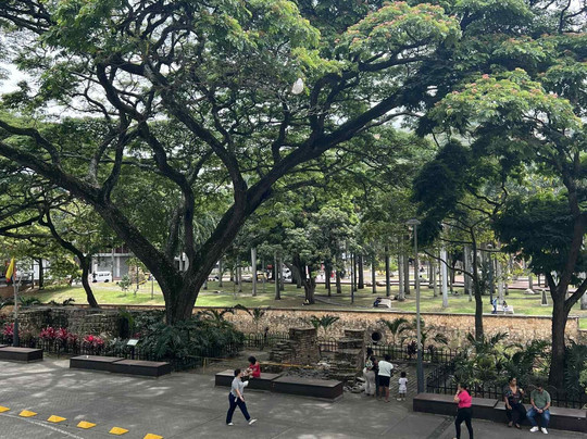 Jacaranda By Markiño-卡利必去景点