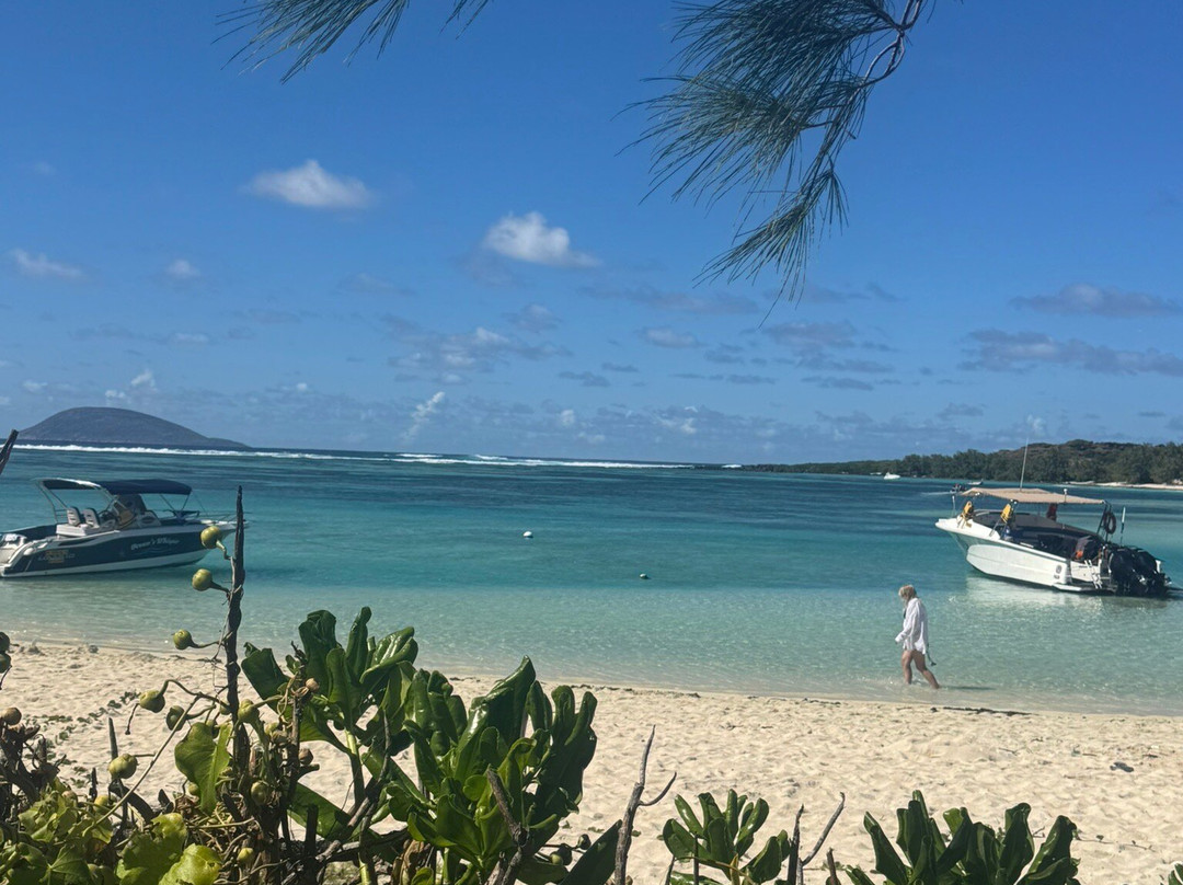 Dreamcatcher Catamaran Tours-开普马欧呵必去景点