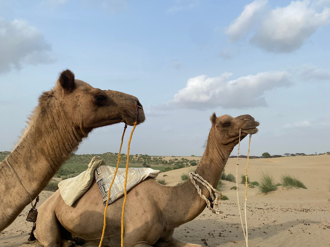 Pol Haveli Desert Safari-杰伊瑟尔梅尔必去景点