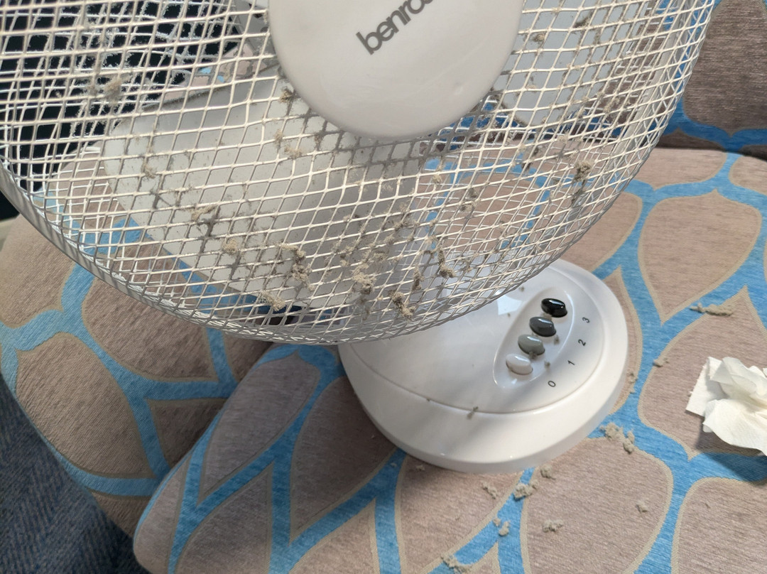 Travelodge Ringwood主图