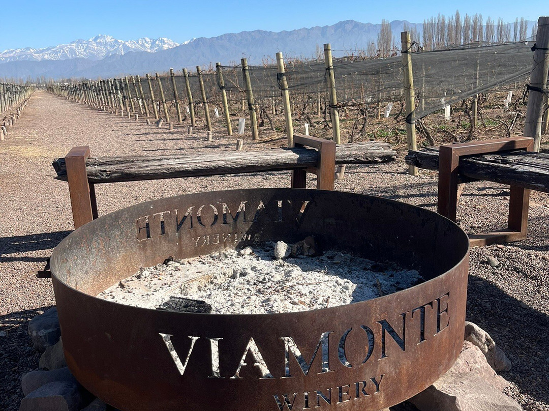 Viamonte Winery-路冉得库约必去景点