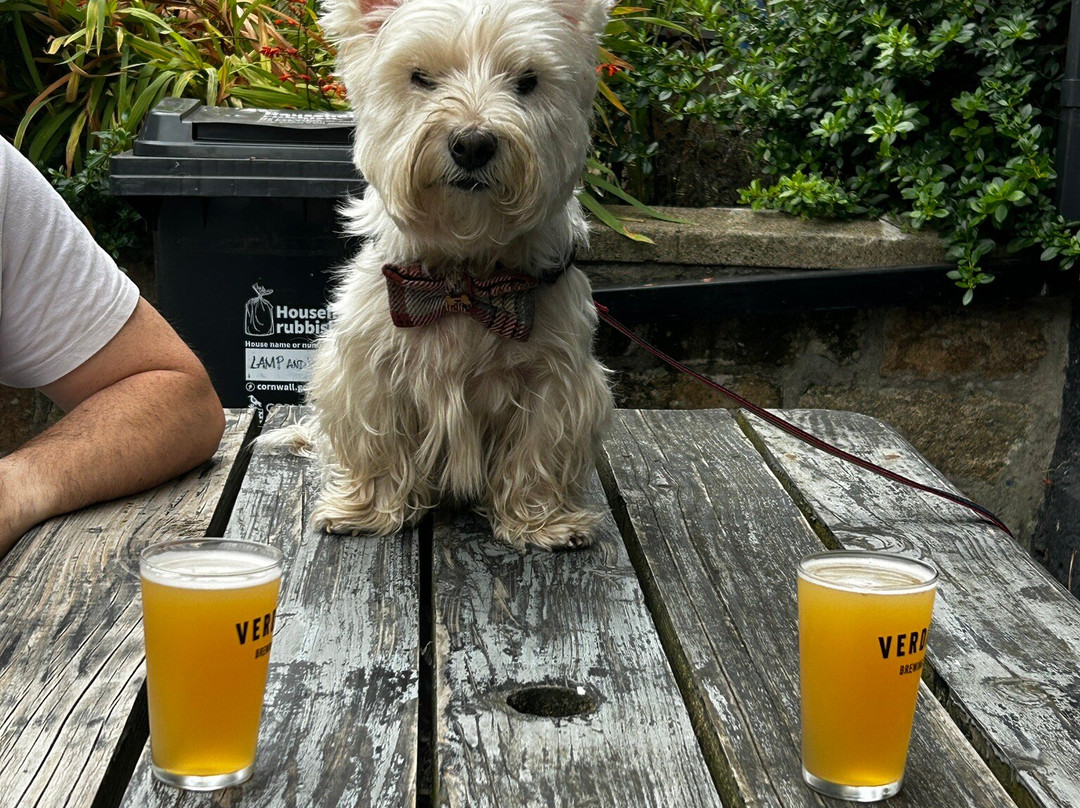 The Lamp & Whistle-彭赞斯必去景点