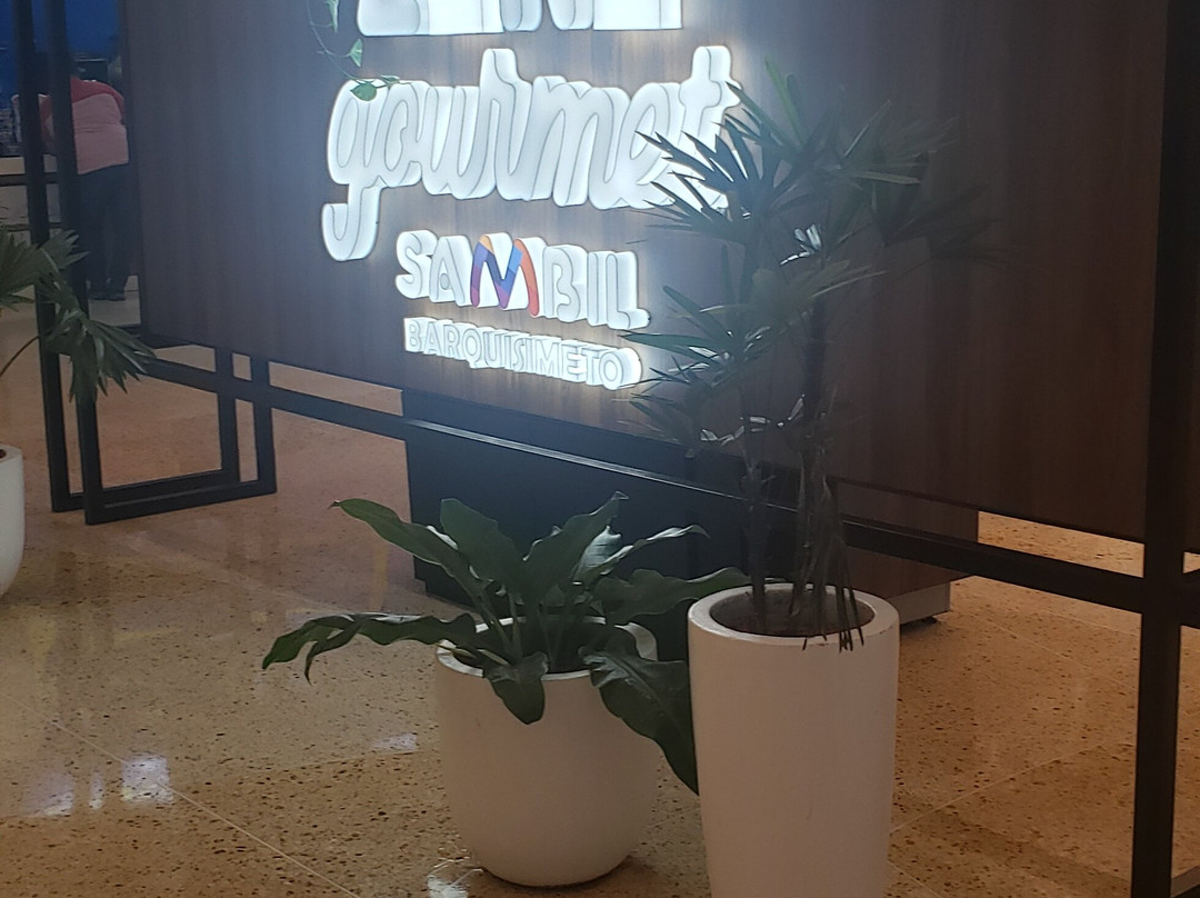 巴基西梅托丽都精品酒店主图