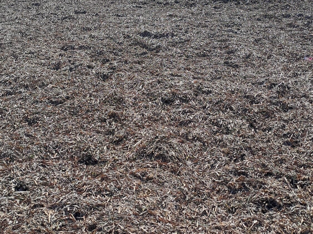 Playa de Levante o la Fossa-卡尔佩必去景点