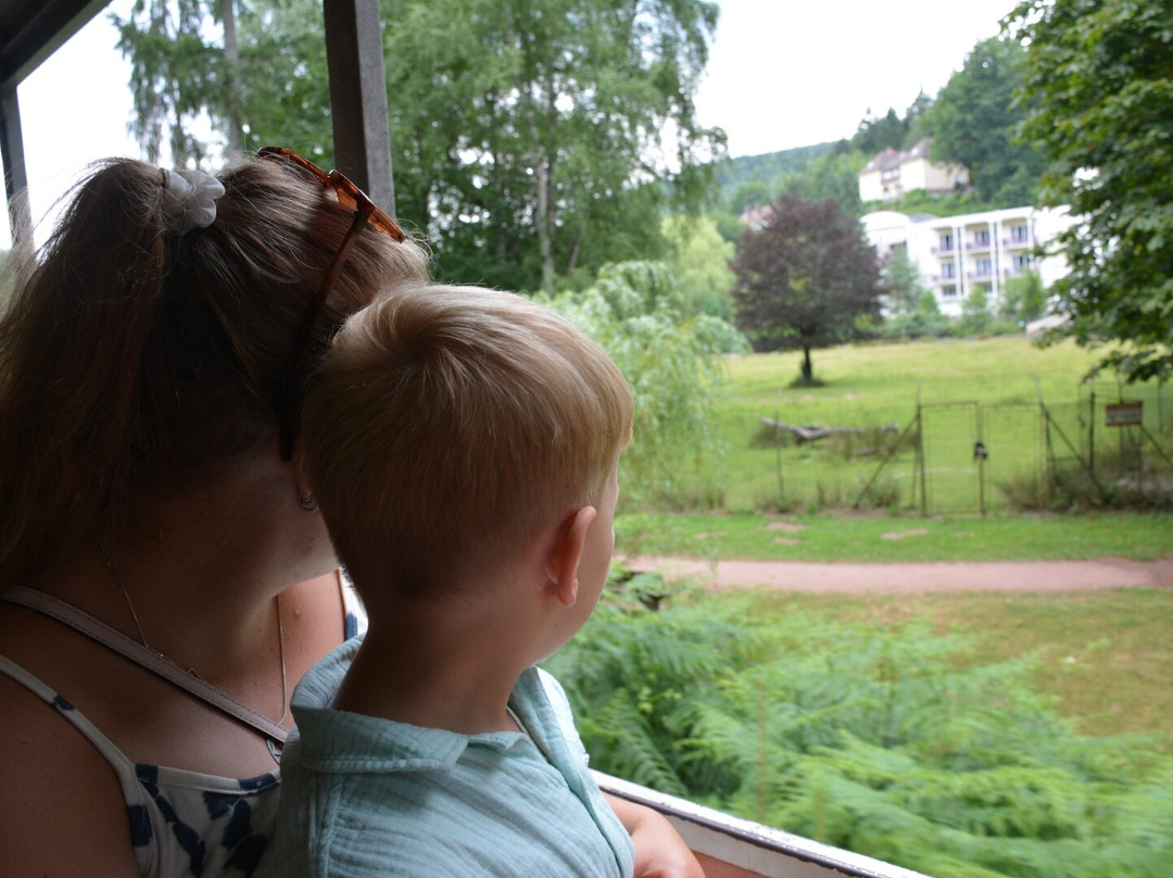 Train Forestier d'Abreschviller-Abreschviller必去景点