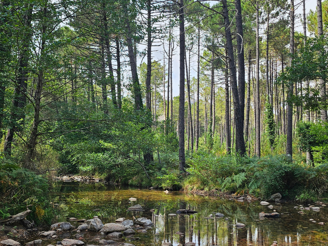 Cascade de Piscia-维琪奥港必去景点