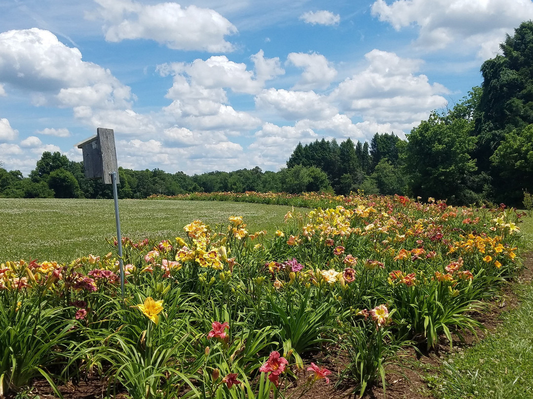 UT Gardens: Crossville, The Plateau Discovery Gardens-Crossville必去景点