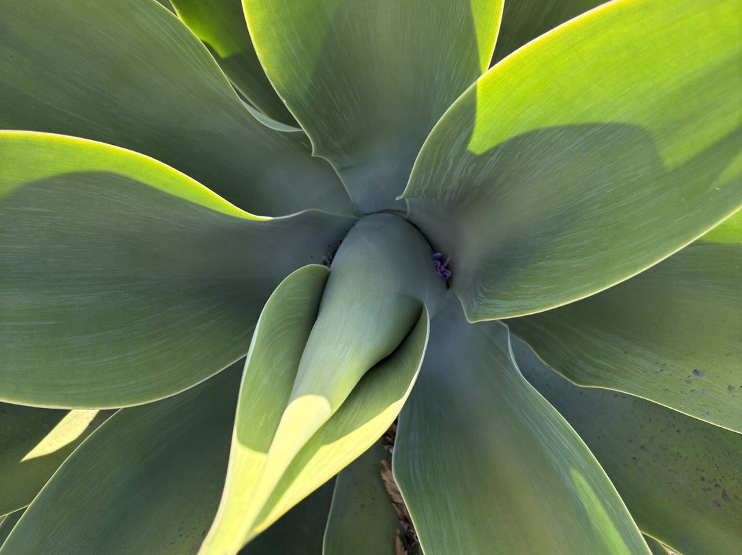 梅萨海岸南海岸新城万怡酒店主图