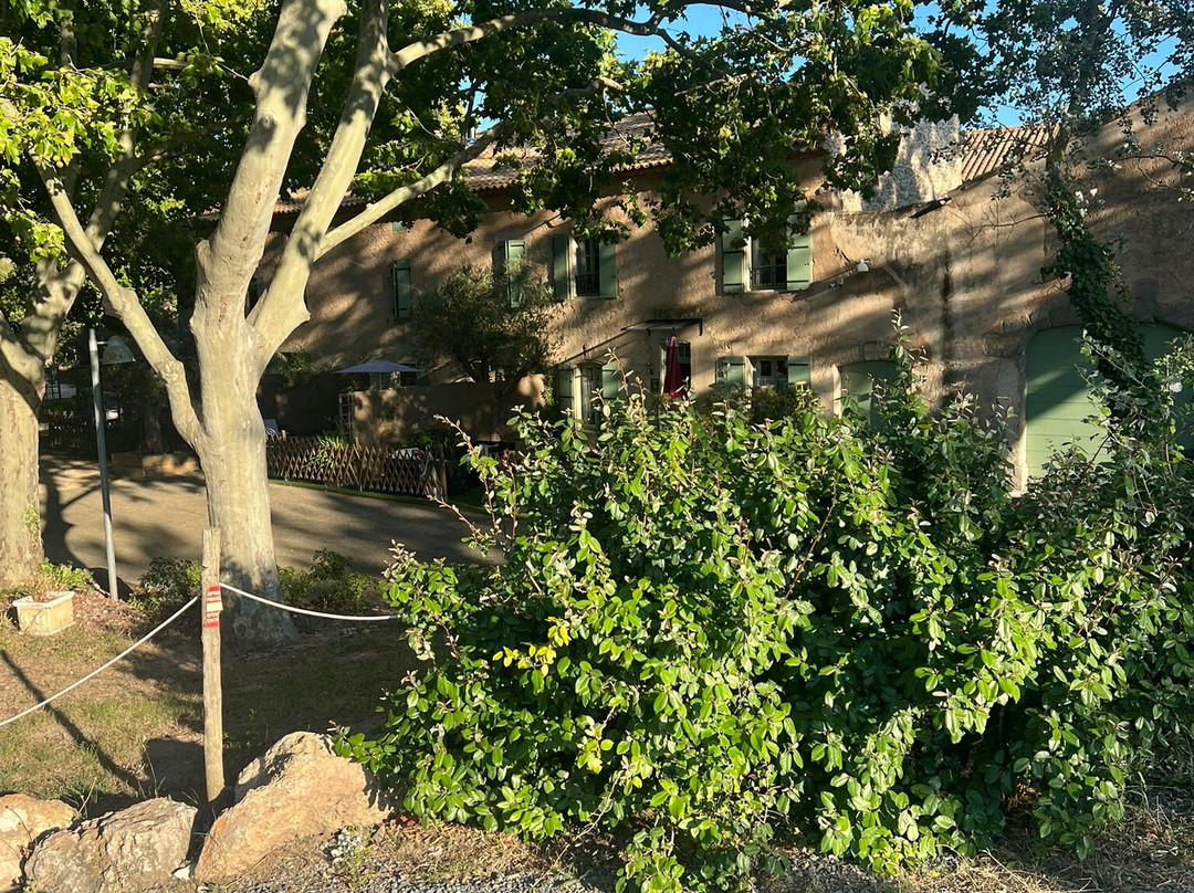 Le Relais de Pigasse主图