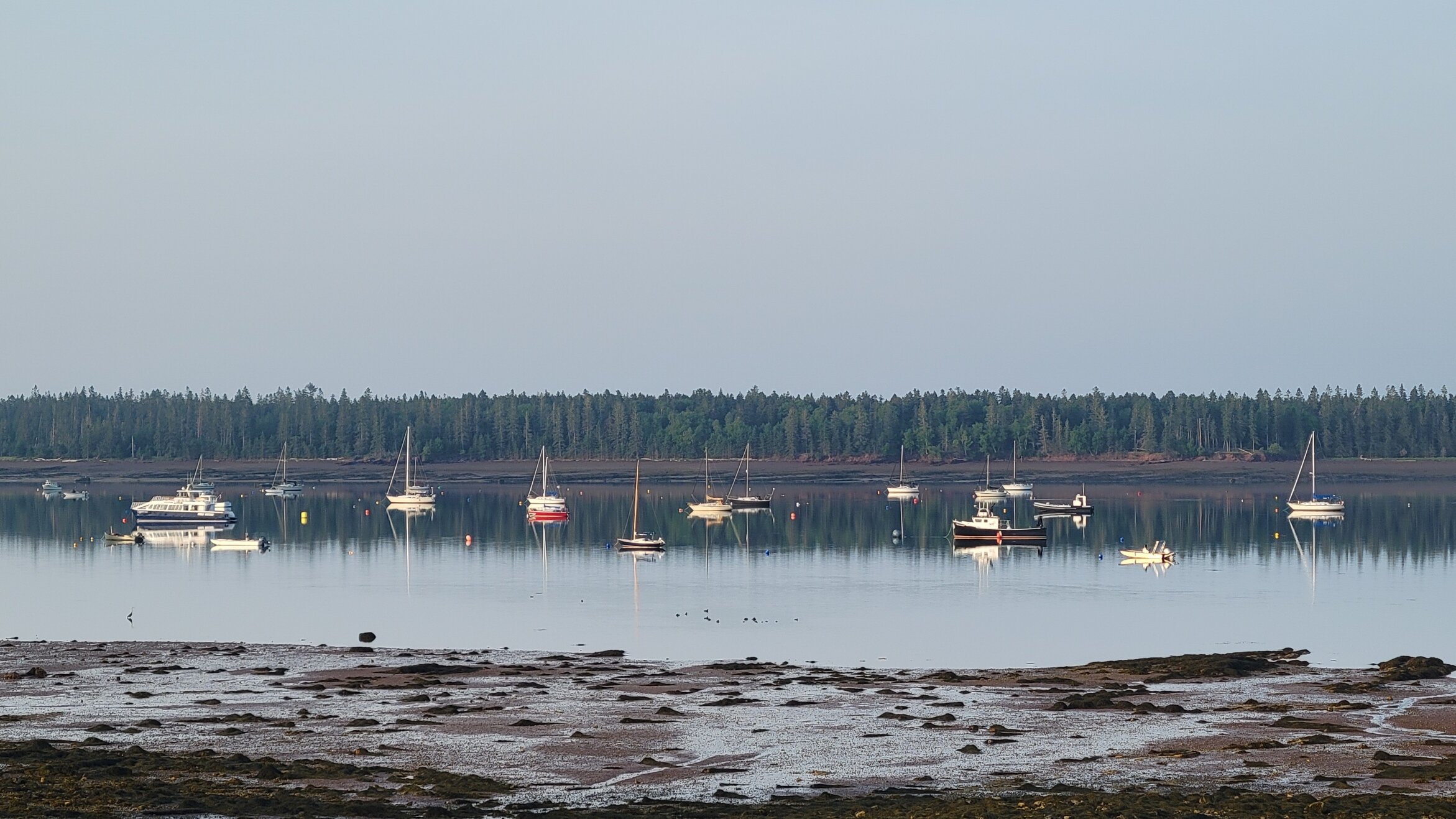 Saint Andrews Inn & Suites-浴室