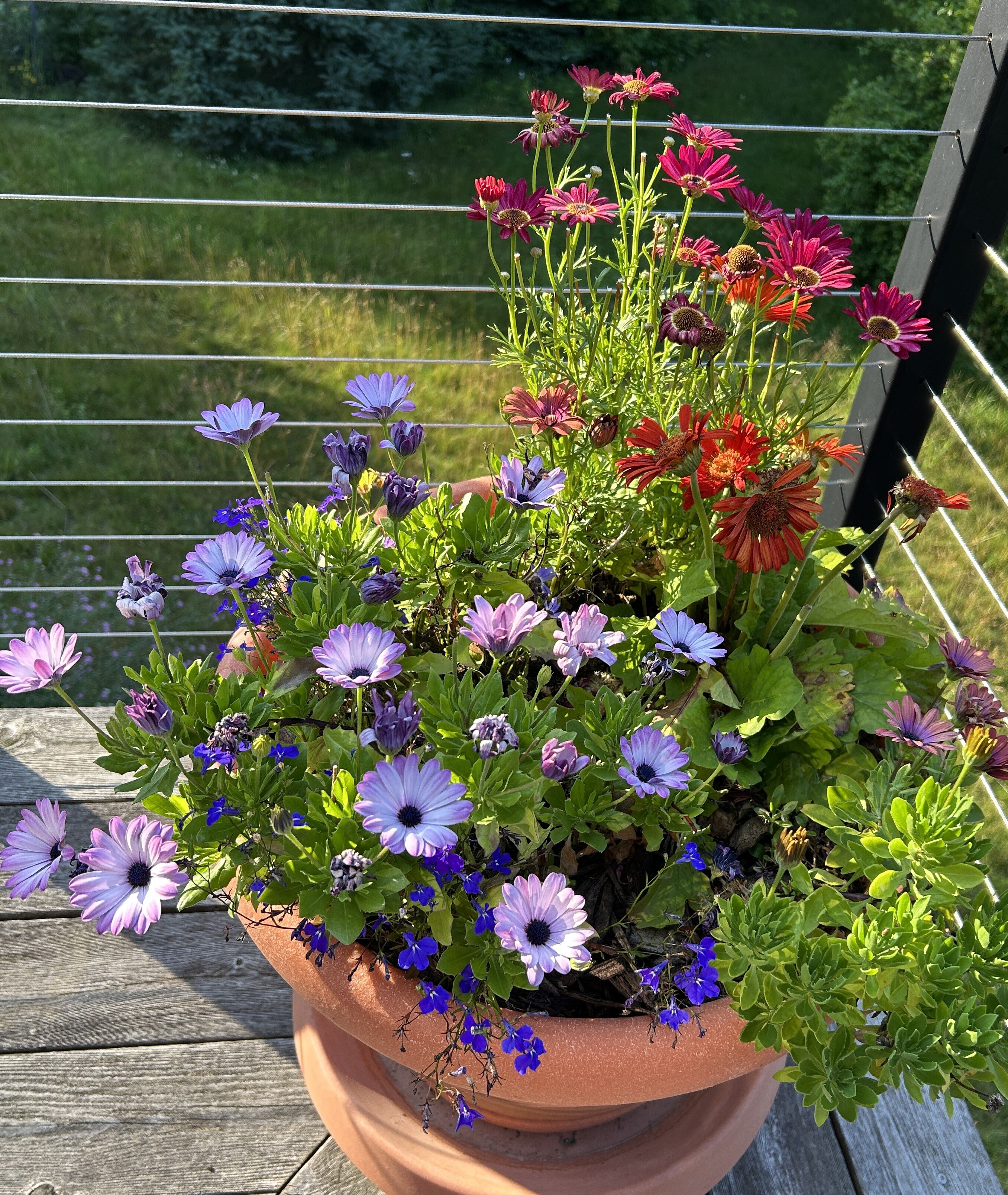 Artesian House Bed & Breakfast-浴室