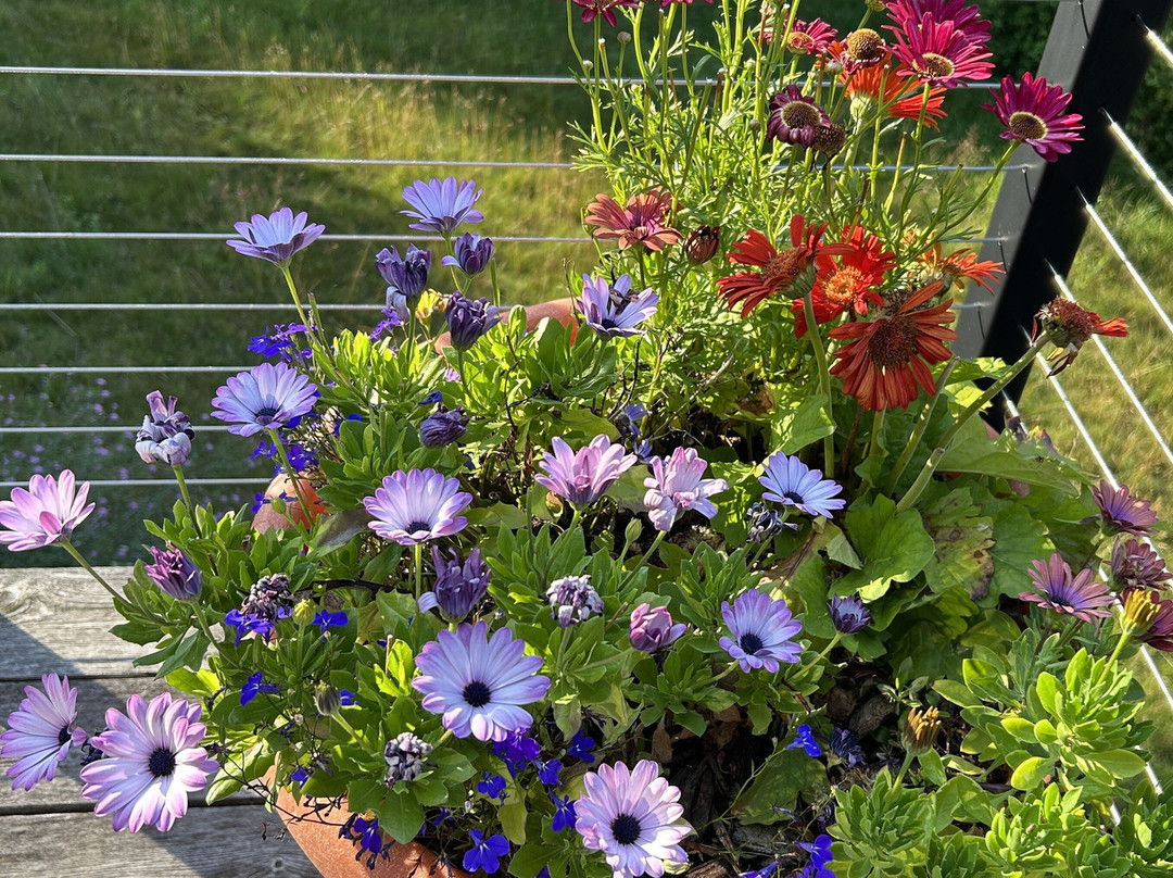 Artesian House Bed & Breakfast主图