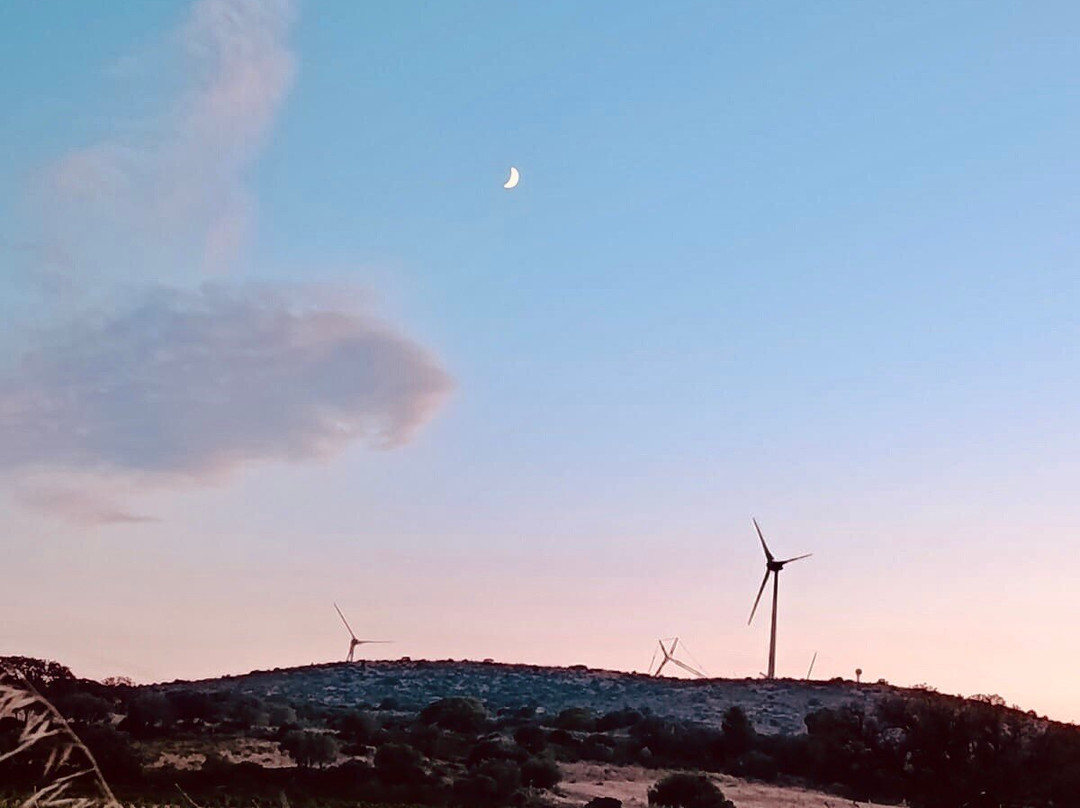 Quadiloc-Fitou必去景点