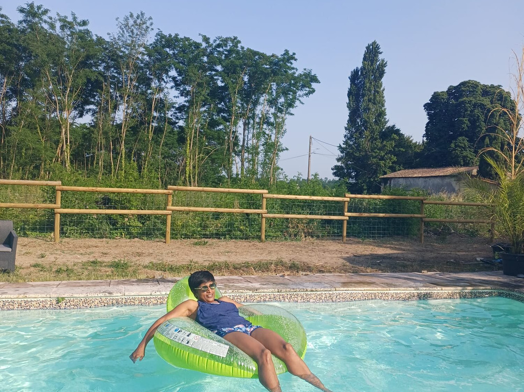 Les Vignes Reines主图