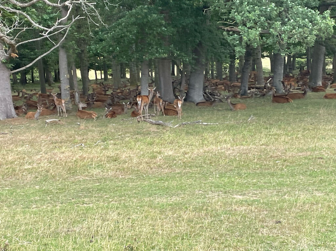 Wayside Stables-Fifield必去景点