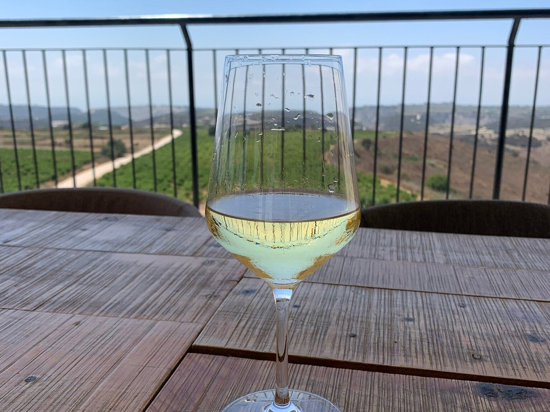 Vasilikon winery-卡西卡斯必去景点