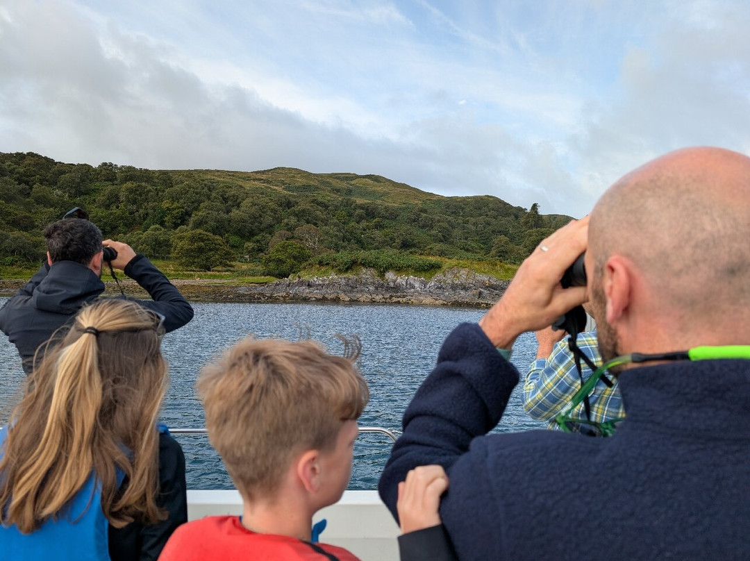 Farsain Cruises-Craobh Haven必去景点